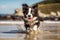 Portrait of cute smilling puppy dog border collie running in water on beach with Generative AI.