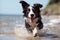 Portrait of cute smilling puppy dog border collie running in water on beach with Generative AI.