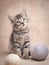 Portrait of cute tabby kitten sitting with balls of wool yarn vertical shot