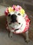 Portrait of cute white dog wearing flowers crown