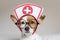 Portrait of a cute young small dog sitting on bed. Wearing stethoscope and glasses. He looks like a doctor or a vet. Home, indoors