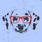 Portrait of Dalmatian Dog with glasses.