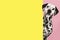 Portrait of a dalmatian dog on a pink background looking around the corner of an yellow empty board with space for copy