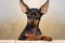 Portrait of a dane. Portrait of cute miniature pinscher dog.