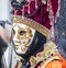 Portrait of a Disguised Person - Venice Carnival 2014