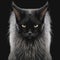 Portrait of distinguish Noble Looking Black Maine Coon Cat