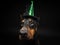 Portrait of a Doberman dog in a headdress. Carnival or Halloween