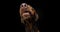 Portrait doberman pincher dog close-up begging food. Isolated on black background