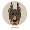 Portrait of Dobermann. Vector illustration