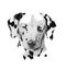 Portrait of dog in black and white art