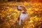 portrait of a dog breed Beagle in the autumn Park