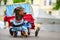 Portrait dog of the Dachshund is disabled breed in costume as a traveling theater in the park at a parade festival dachshund in St