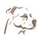 Portrait of a dog face breed Labrador. Brown linear silhouette on a white background. Logo dog retriever head