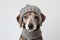 Portrait of dog with gray knitted winter hat