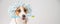Portrait of a dog jack russell terrier in a shower cap and a towel holding a toothbrush in his mouth on a white