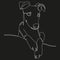 Portrait of a dog in one line. Whippet ,greyhound realistic silhouette outline. The small English greyhound breed