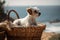 portrait of dog sitting in basket, with view of sunny beach