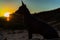 Portrait of a dog xoloitzcuintli breed watch the sunset with big sun