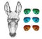 Portrait of Donkey with mirror sunglasses.