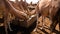 Portrait of drinking camels at the desert well in Djibriga at Barh-El-Gazal, Chad