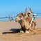 Portrait of dromedary resting on the sandy beach of the ocean