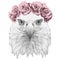 Portrait of Eagle with floral head wreath.