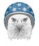 Portrait of Eagle with Helmet.