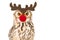 Portrait of an eagle owl with rudolf red nose raindeer mask on a white background