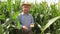 Portrait Of An Elderly Farmer In A Cowboy Hat In A Corn Field Holding Corn Cob