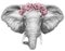 Portrait of Elephant with floral head wreath.