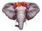 Portrait of Elephant with floral head wreath.