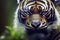 Portrait of an endangered Sumatran tiger in the wild, generative AI