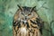 A portrait of an Eurasian Eagle Owl winking