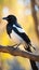 Portrait of an Eurasian magpie - Pica pica. Generative AI