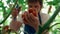 Portrait farmer collecting tomatoes on big countryside plantation in summer