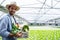 Portrait of farmer in greenhouse hydroponic holding basket of vegetable. he is harvesting vegetables in farm.