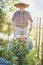 Portrait of farmer pushing wheelbarrow full of vegetables