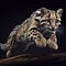 portrait of a fast clouded leopard leaping over a tree branch isolated on a black background. ai generative