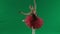 Portrait of female on chroma key green screen background. Close up shot ballerina in red tutu and dark body smiling