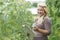 Portrait Of Female Farm Worker Checking Tomato Plants In Greenhouse
