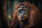 Portrait of a female Orangutan in the rainforest.