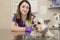 Portrait female professional veterinarian with her patient dog breed yorkshire terrier in pet hospital