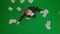 Portrait of female in suit on chroma key green screen. Top view business woman frustrated throwing paper documents and