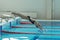 Portrait of a female swimmer, that jumping and diving into indoor sport swimming pool.