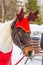 Portrait of a festively decorated horse