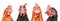 Portrait of four hens
