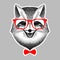 Portrait of a fox in red glasses and bow-tie. Fox hipster style. Stylized fox smiles for poster, print, t-shirt. Liar