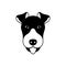 Portrait of Fox Terrier, black and white flat style.
