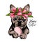 Portrait of french bulldog dog with Easter egg wearing tulip crown. Welcome spring. Hand drawn colored vector