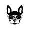 Portrait of french bulldog with glasses, black and white flat style.